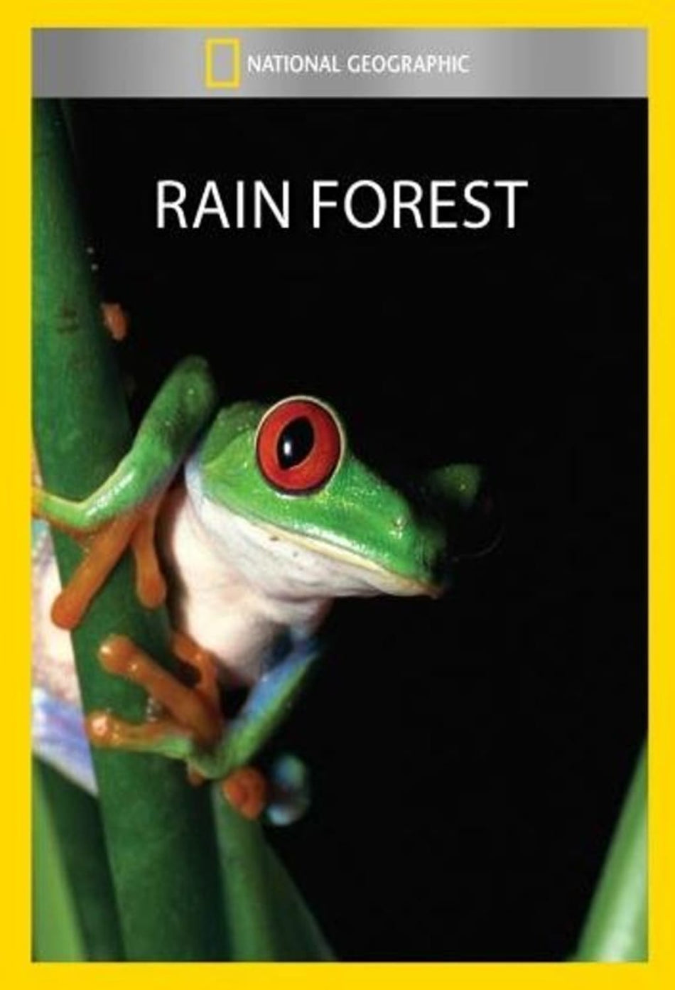 Rain Forest - (NTSC Format) - [DVD]