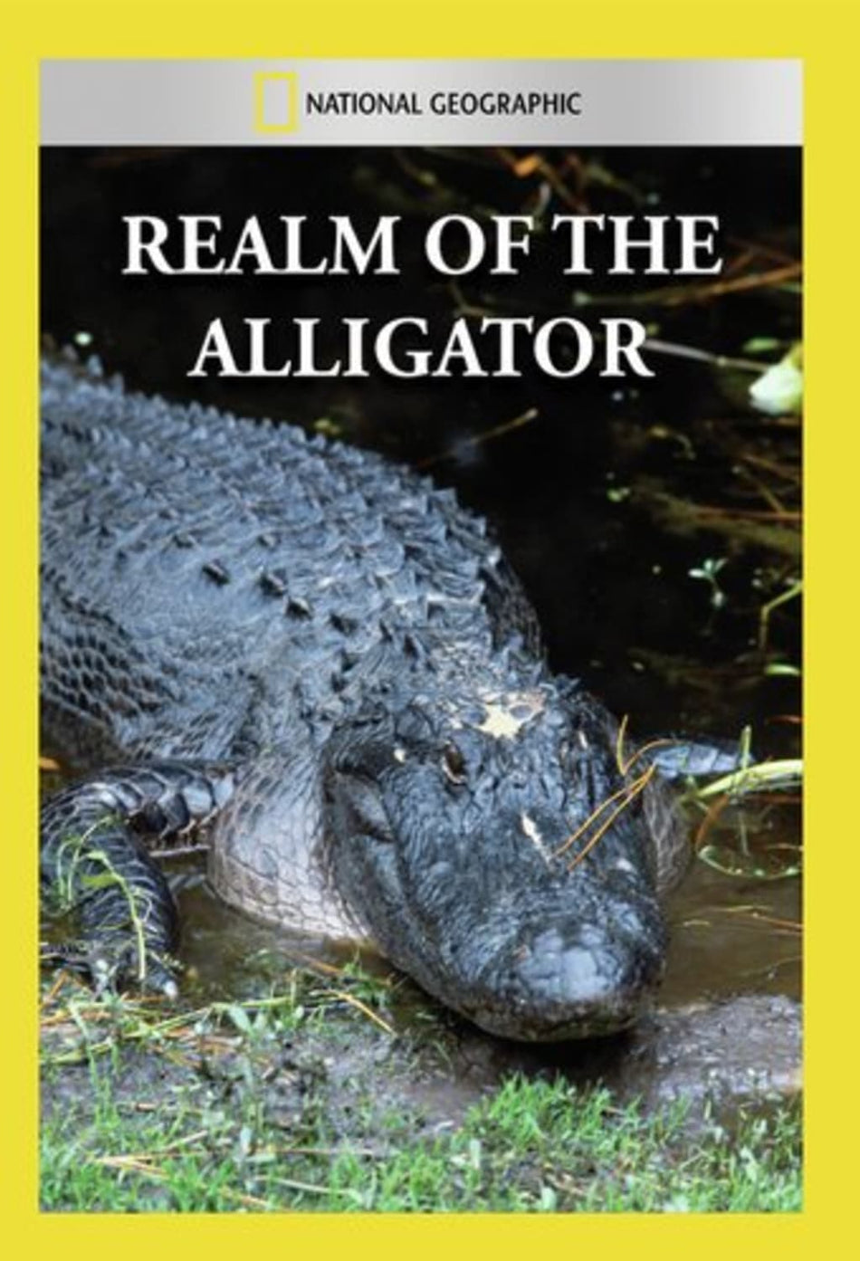 Realm of the Alligator - [DVD]