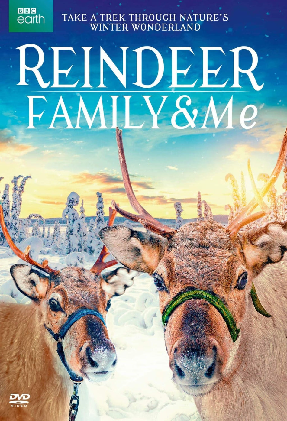 Reindeer Family & Me - [DVD]