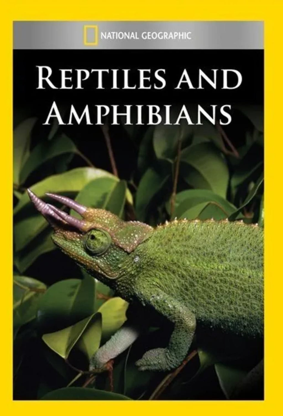 Reptiles & Amphibians - (NTSC Format) - [DVD]