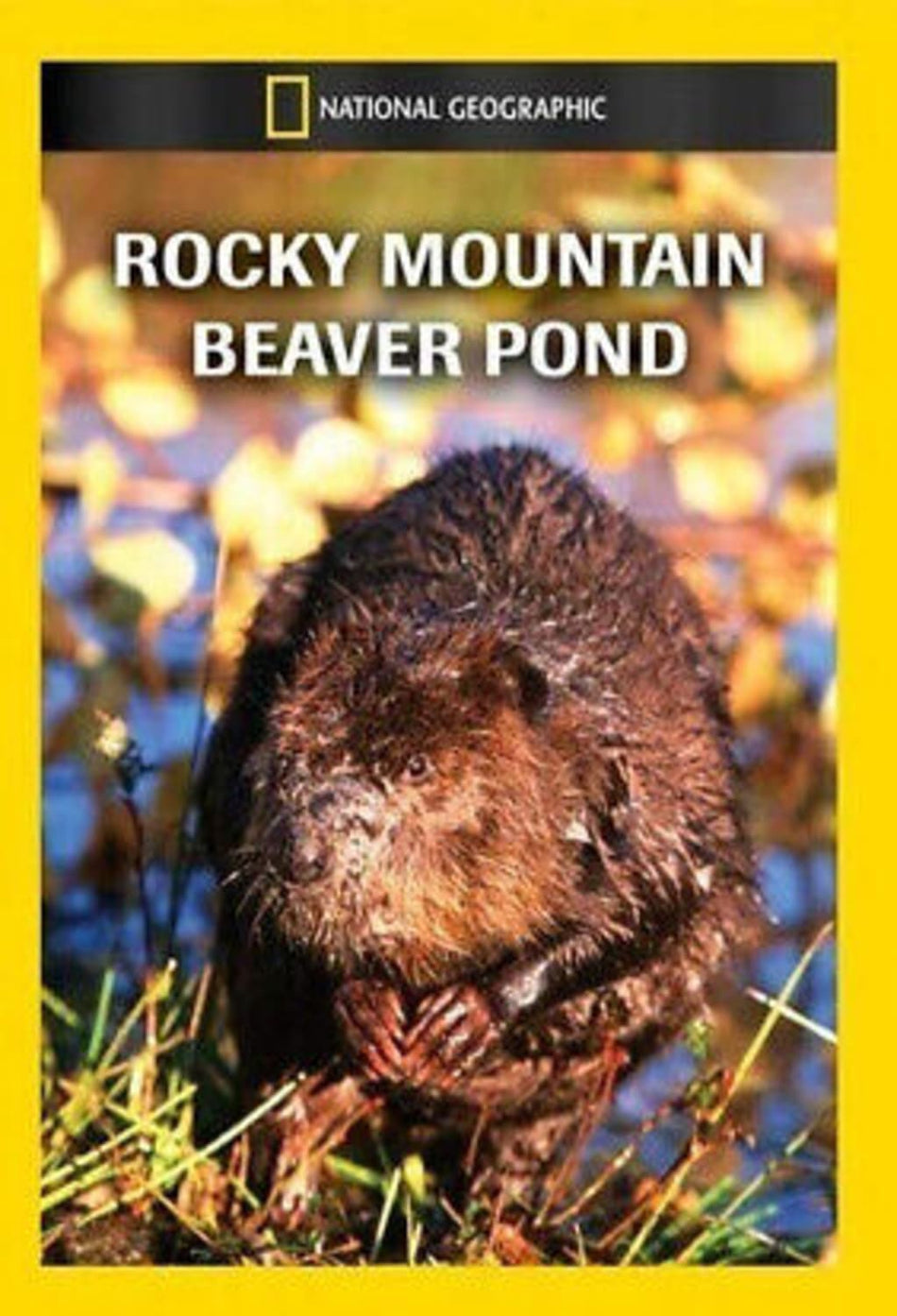 Rocky Mountain Beaver Pond - (NTSC Format) - [DVD]