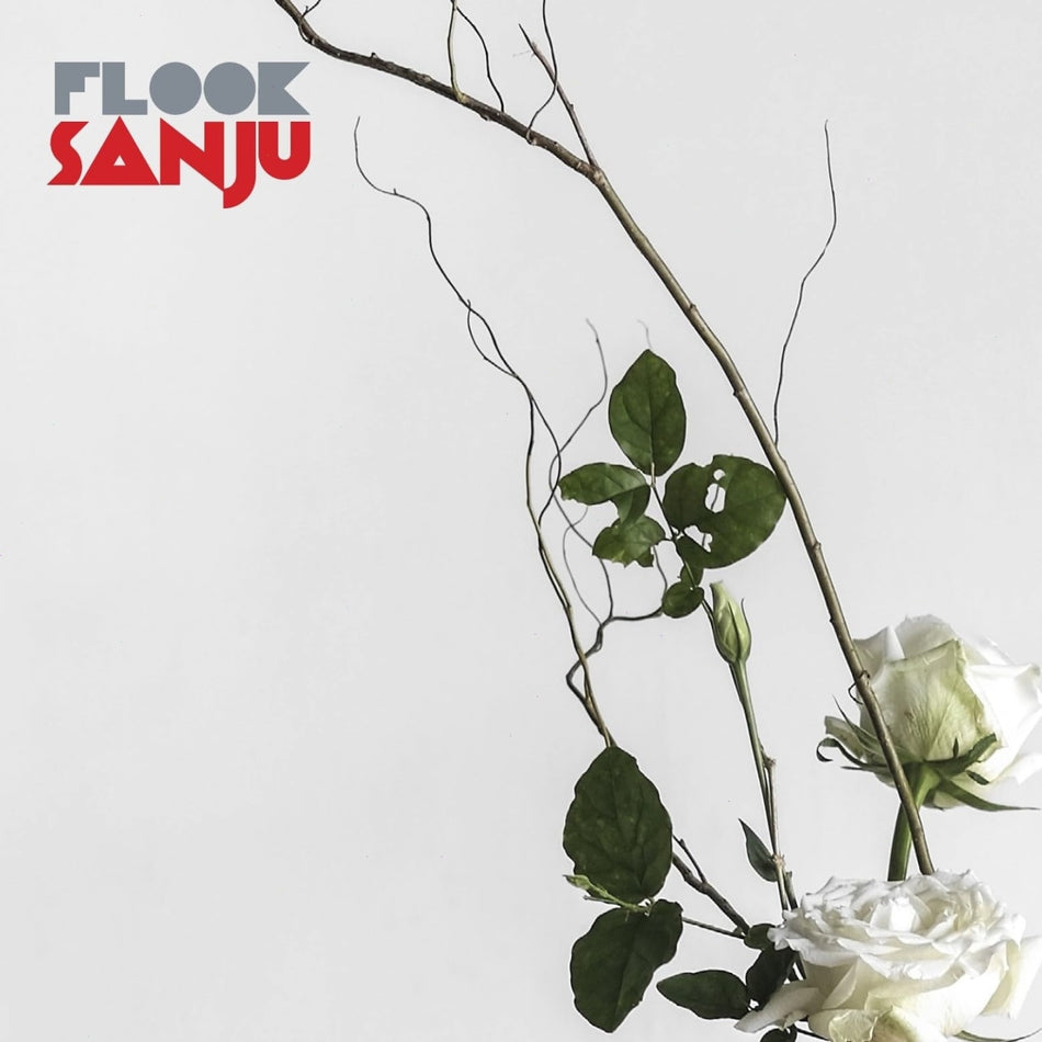 Flook - SANJU - [Vinyl]