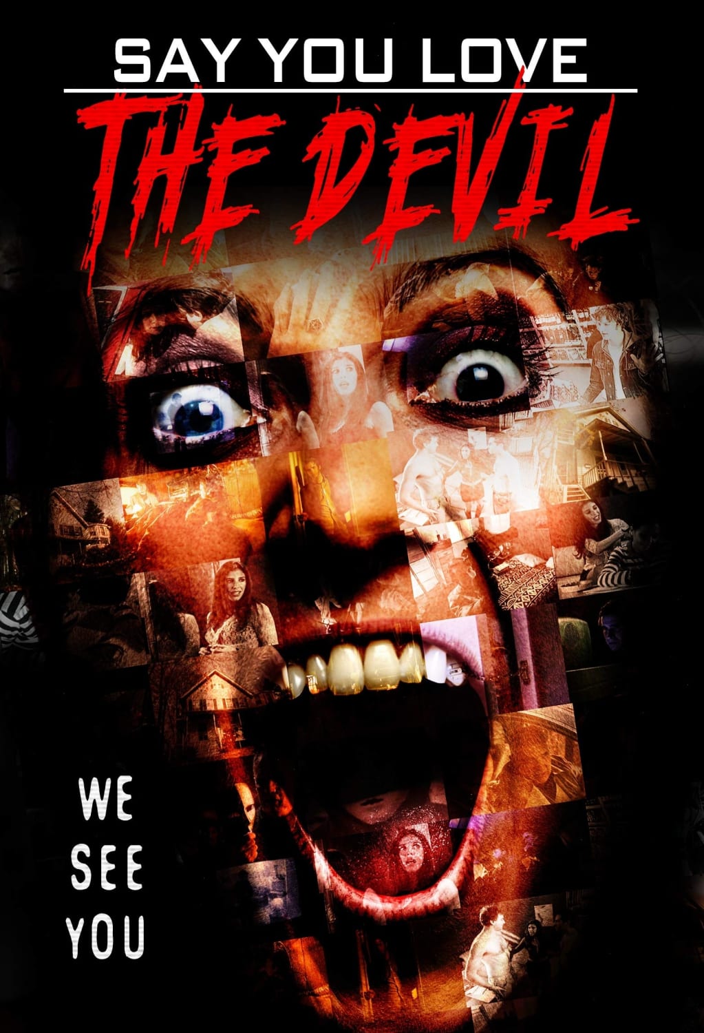 SAY YOU LOVE THE DEVIL - [DVD]