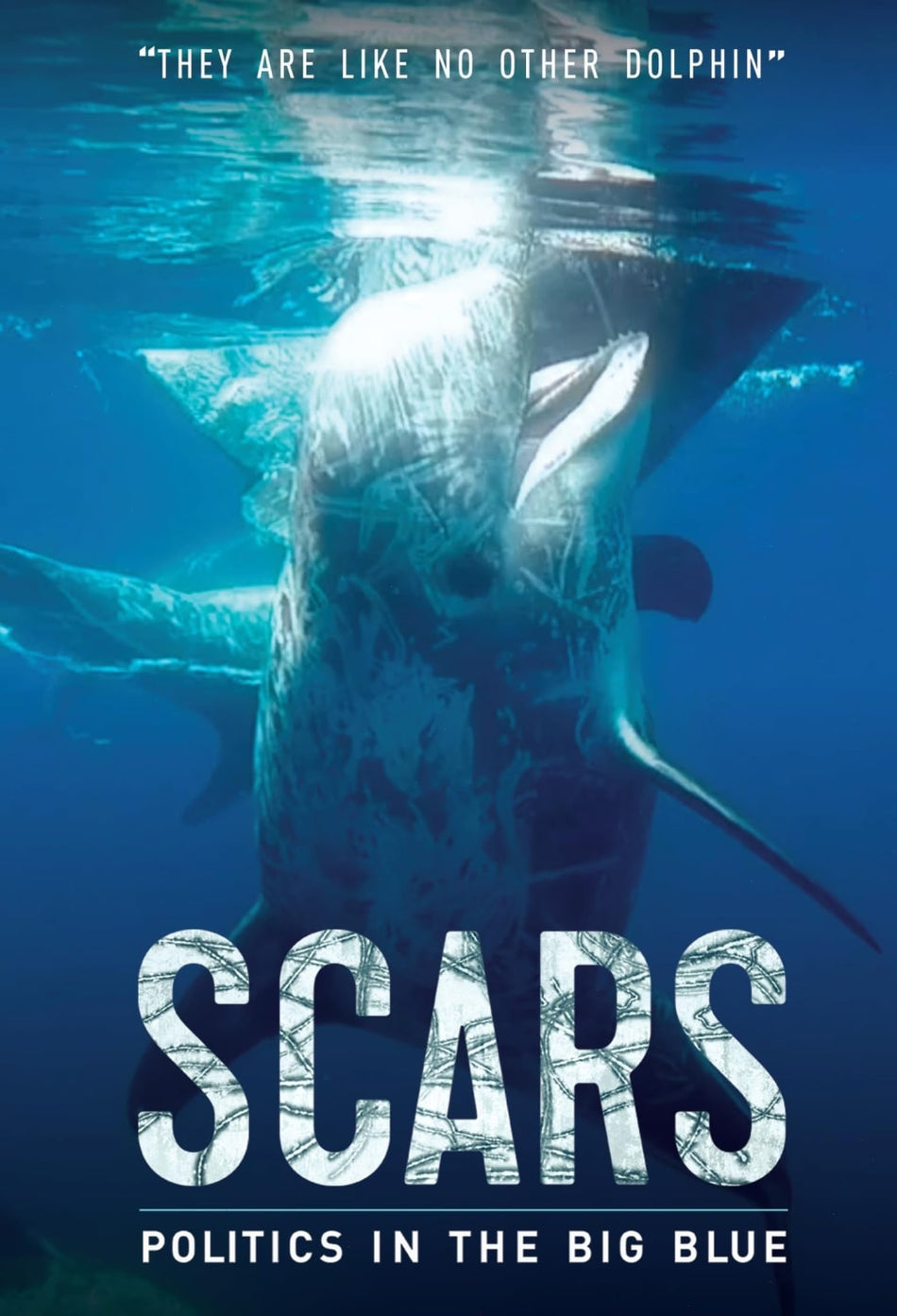 SCARS - [DVD]