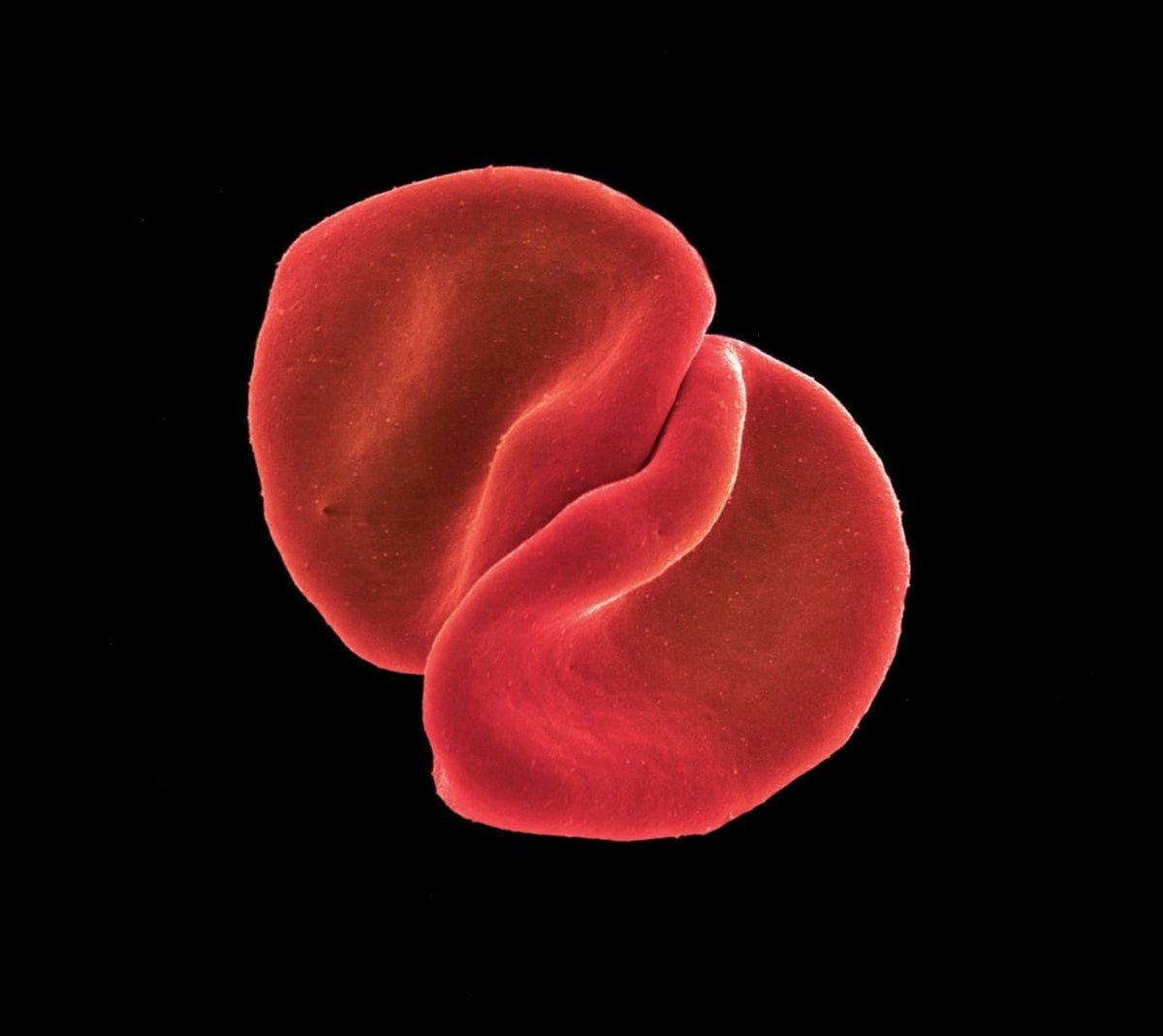 Peter Gabriel - SCRATCH MY BACK - [CD]