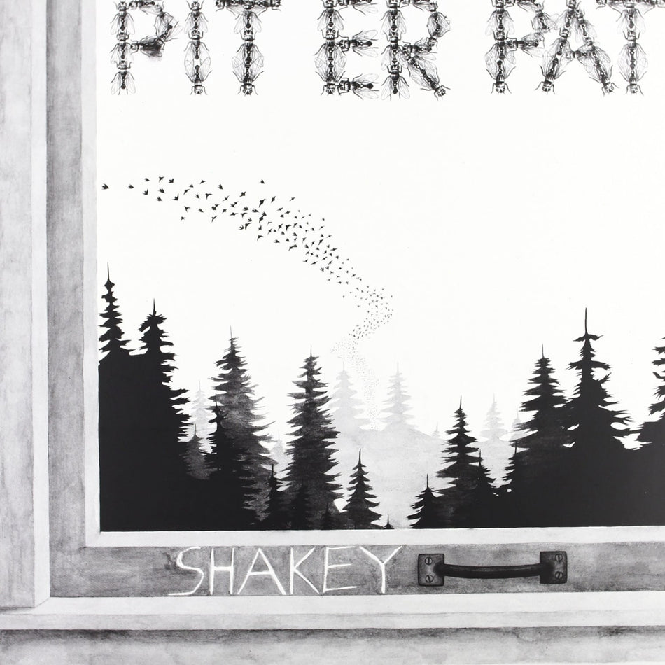 Pit Er Pat - Shakey - [Vinyl]