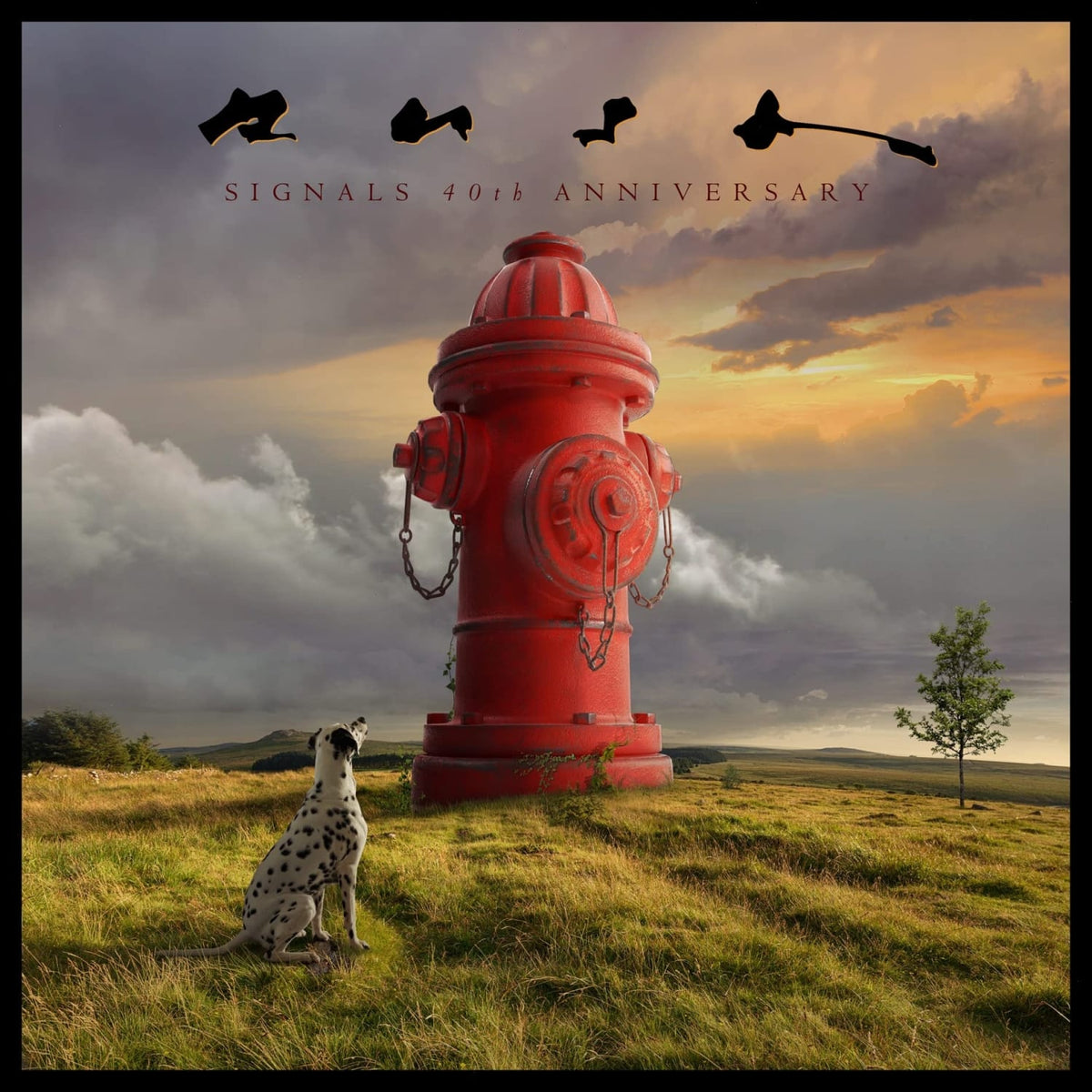 Rush - Signals (40th Anniversary) - (Limited Edition, Deluxe Edition, With CD, With Blu-ray, Anniversary Edition) - [Vinyl]