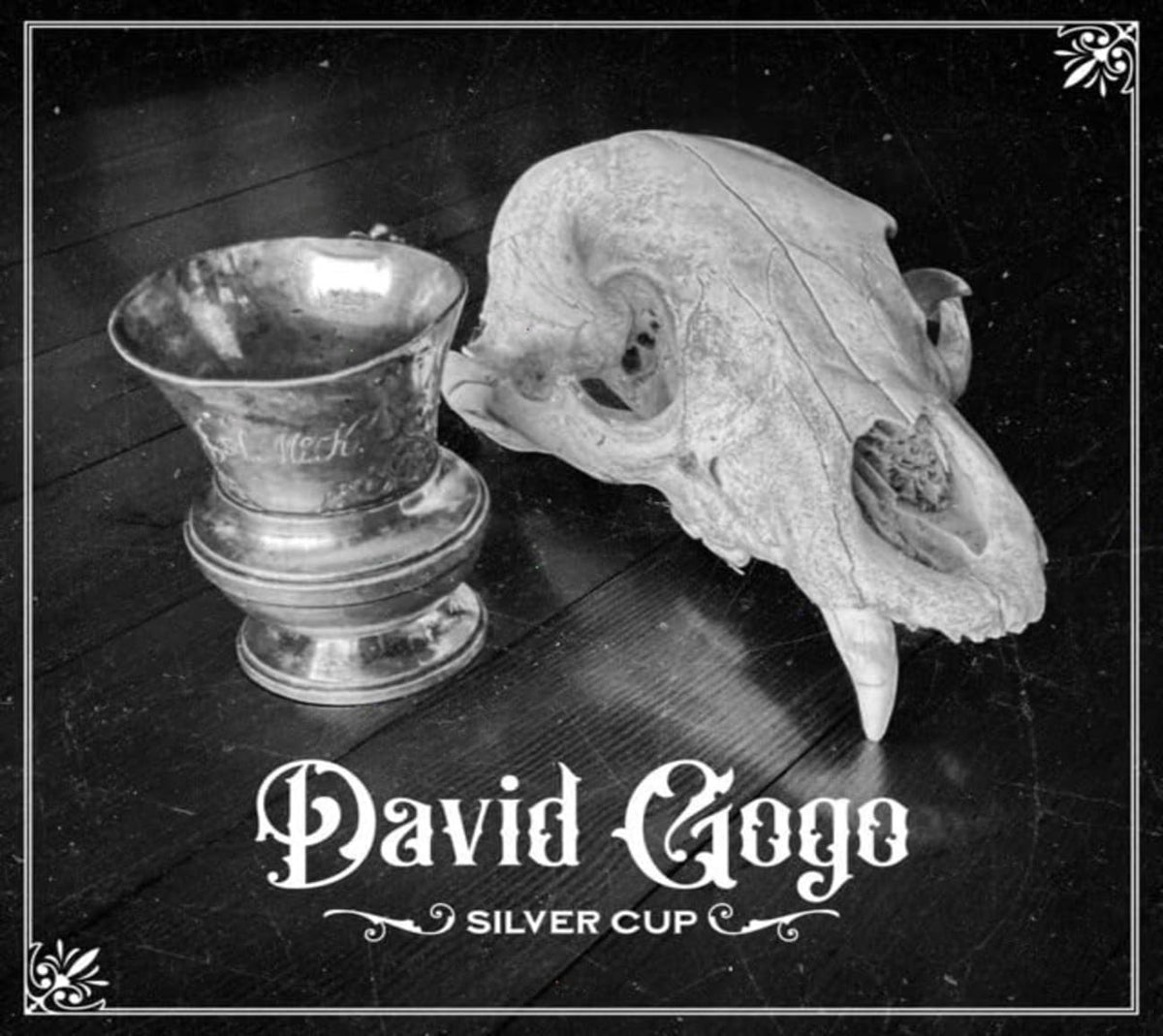 David Gogo - Silver Cup - [CD]