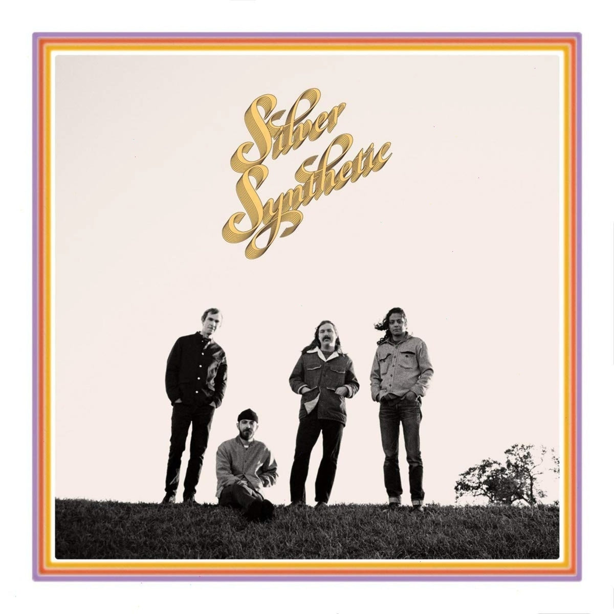 Silver Synthetic - Silver Synthetic - [Vinyl]