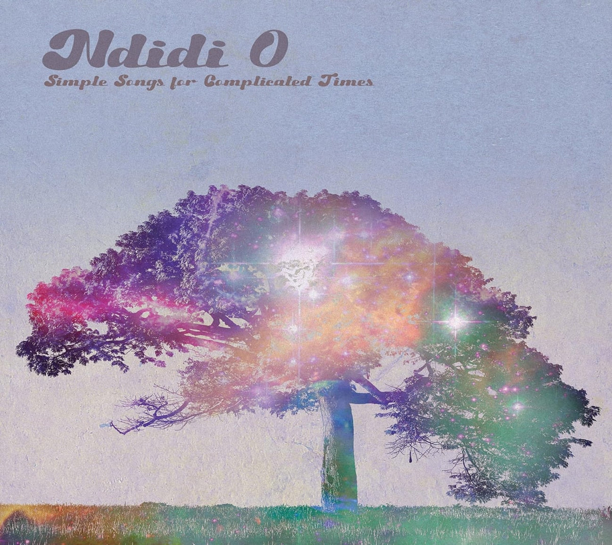 Ndidi O - Simple Songs for Complicated Times - [CD]