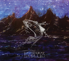 David Gray - Skellig - [CD]