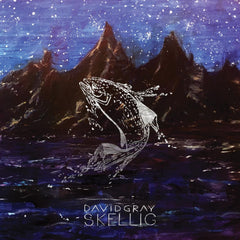 David Gray - Skellig - (Gatefold LP Jacket) - [Vinyl]