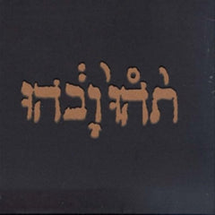 Godspeed You! Black Emperor - Slow Riot for New Zero Kanada - (Extended Play) - [Vinyl]
