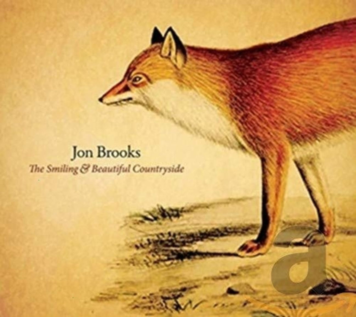 Jon Brooks - Smiling & Beautiful Countryside - [CD]