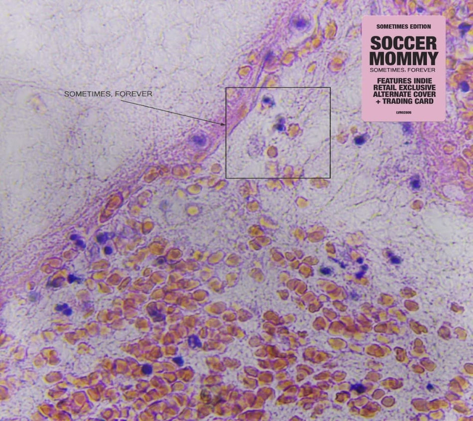 Soccer Mommy - Sometimes, Forever - (Indie Exclusive, Alternate Cover) - [CD]