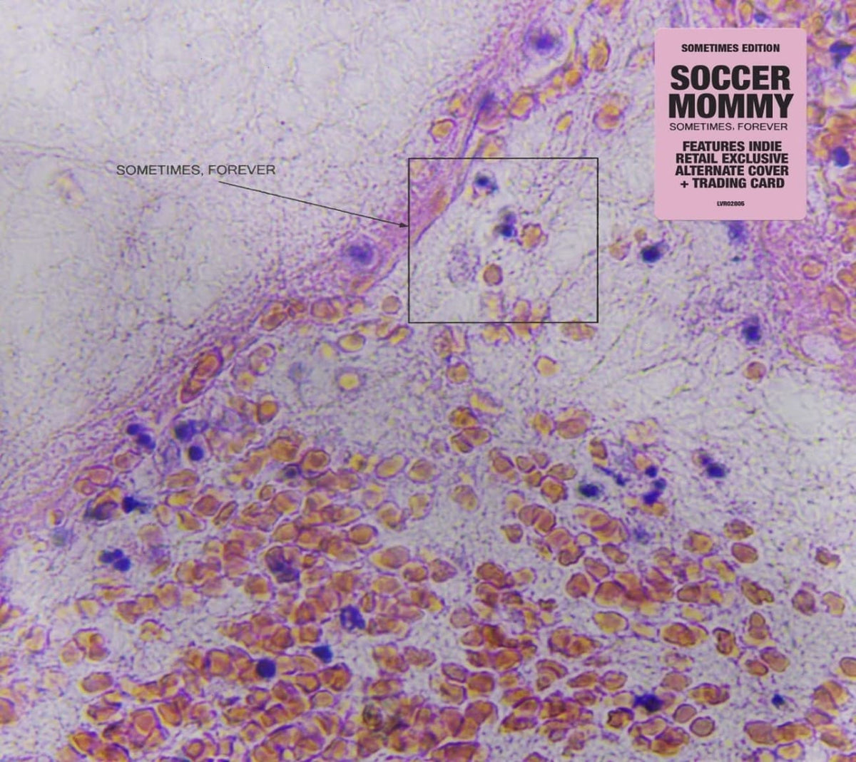 Soccer Mommy - Sometimes, Forever - (Indie Exclusive, Alternate Cover) - [CD]