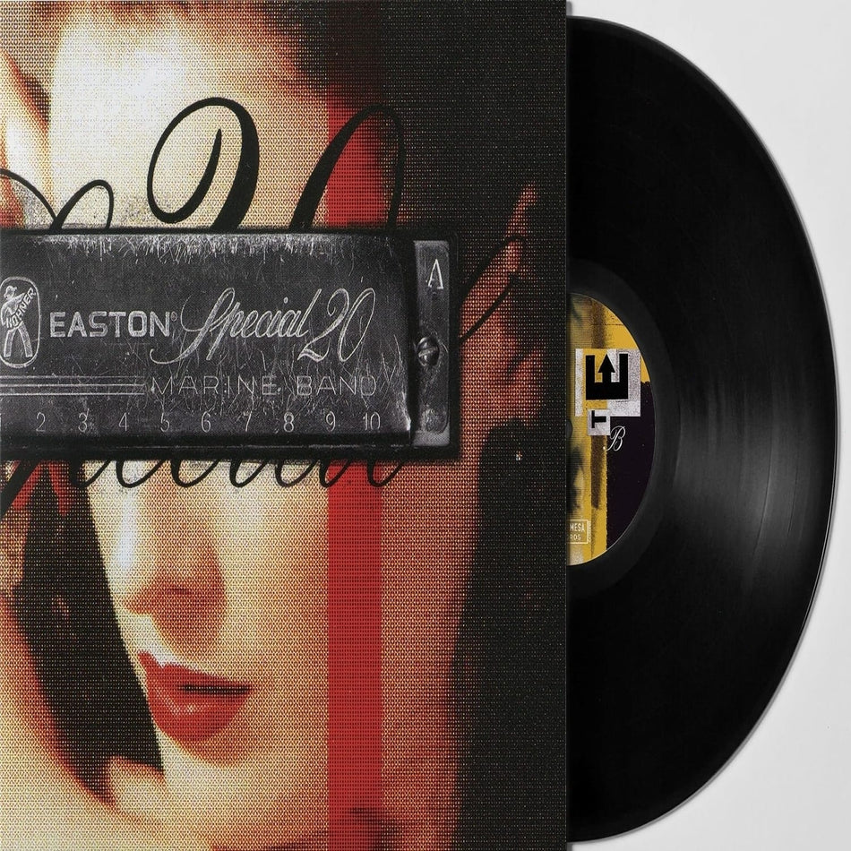 Tim Easton - Special 20 - [Vinyl]