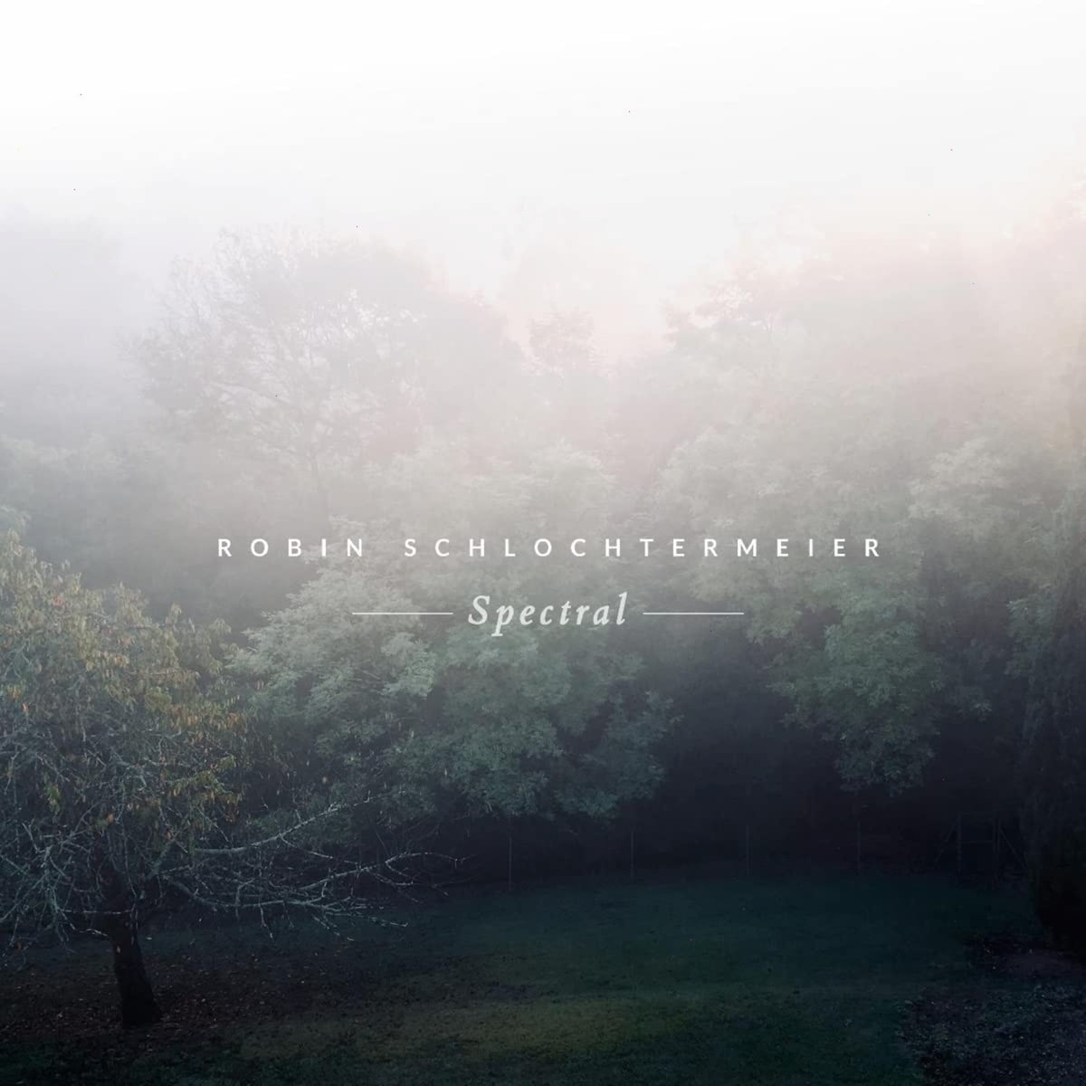 Robin Schlochtermeier - Spectral - (180 Gram Vinyl, Digital Download Card) - [Vinyl]
