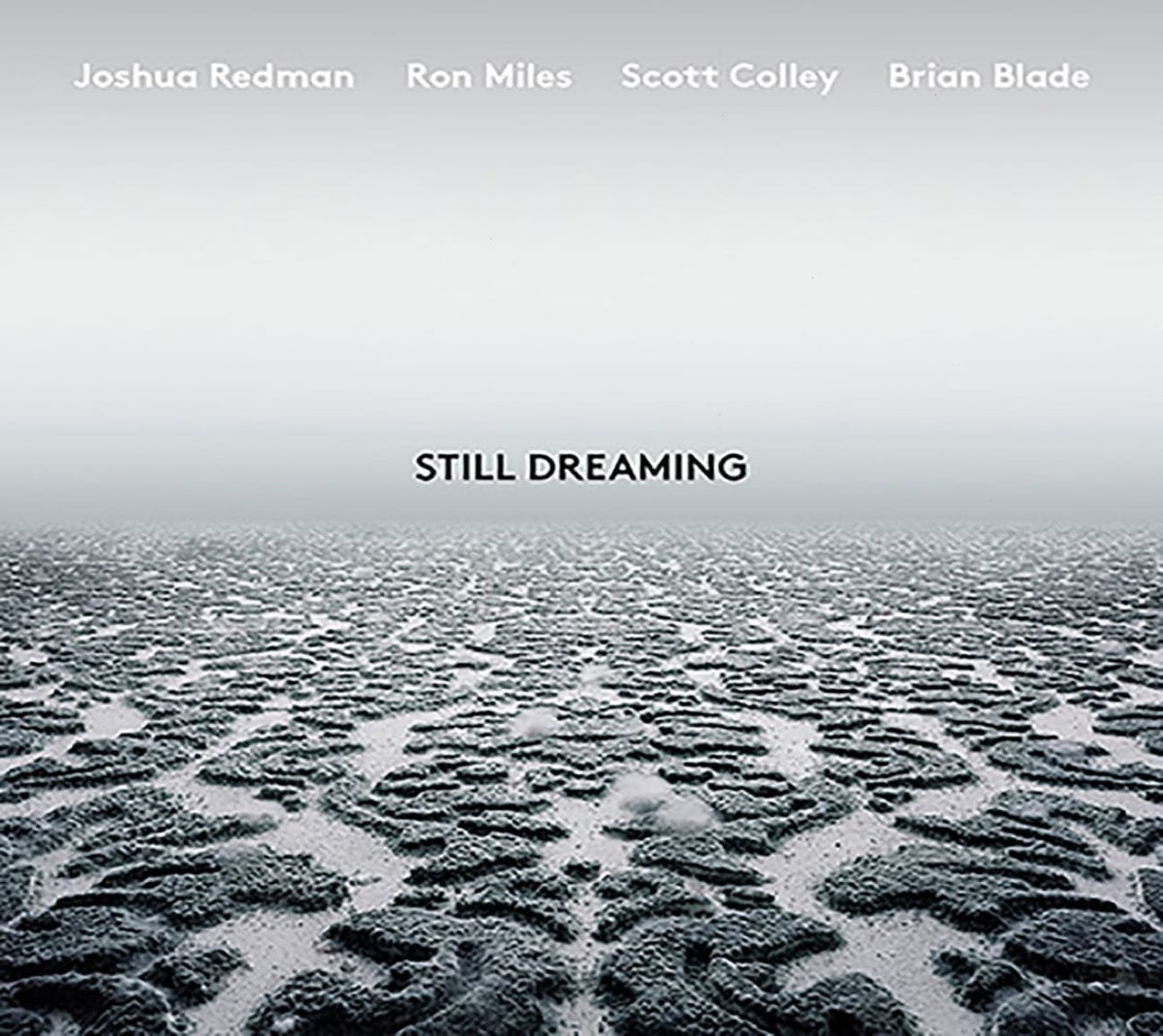 Joshua Redman - Still Dreaming - [CD]