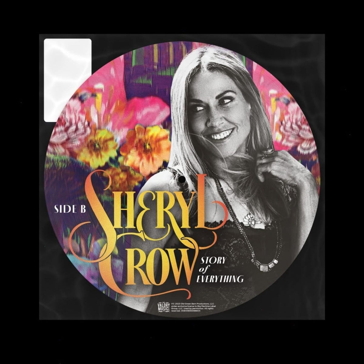 Sheryl Crow - Story Of Everything - (Limited Edition, Picture Disc Vinyl) - [Vinyl]