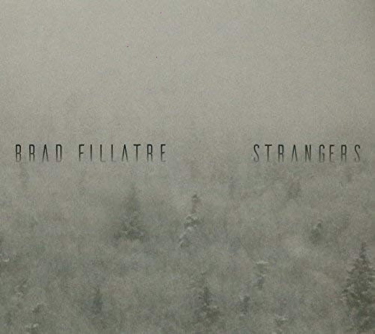 Brad Fillatre - Strangers - [CD]