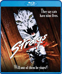 Strays - (Widescreen) - [Blu-ray]