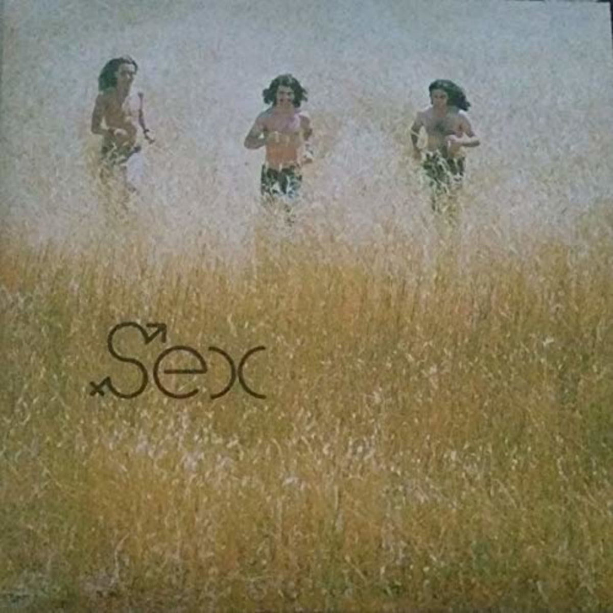 The Sex - Sex - [Vinyl]