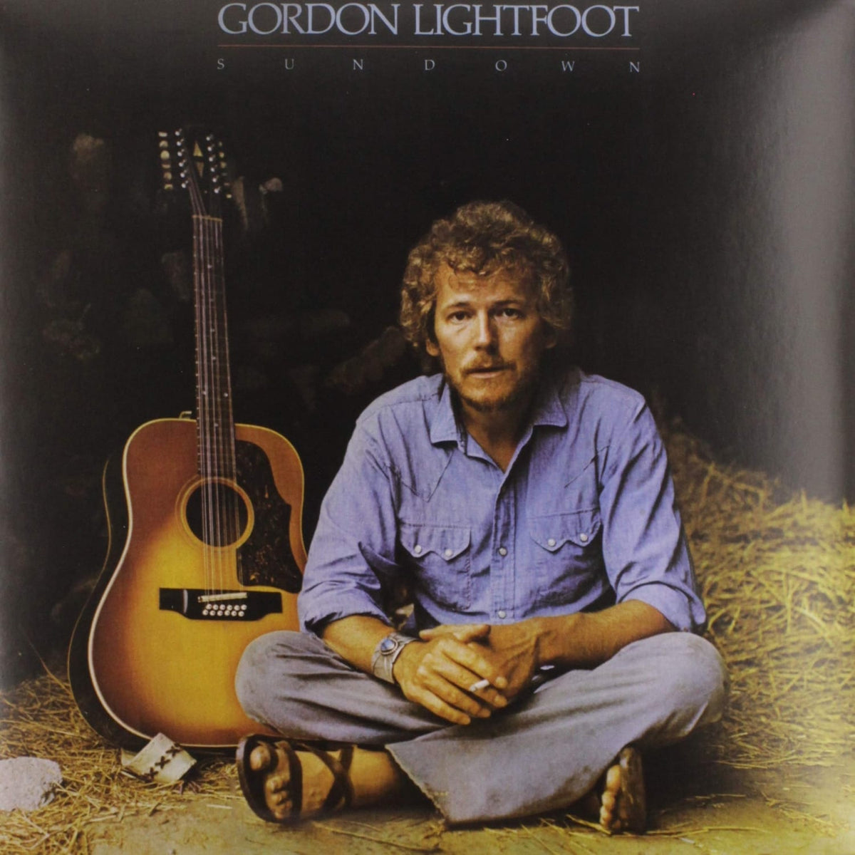 Gordon Lightfoot - Sundown - [Vinyl]