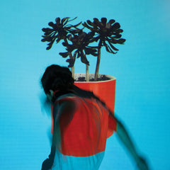 Local Natives - Sunlit Youth - [Vinyl]