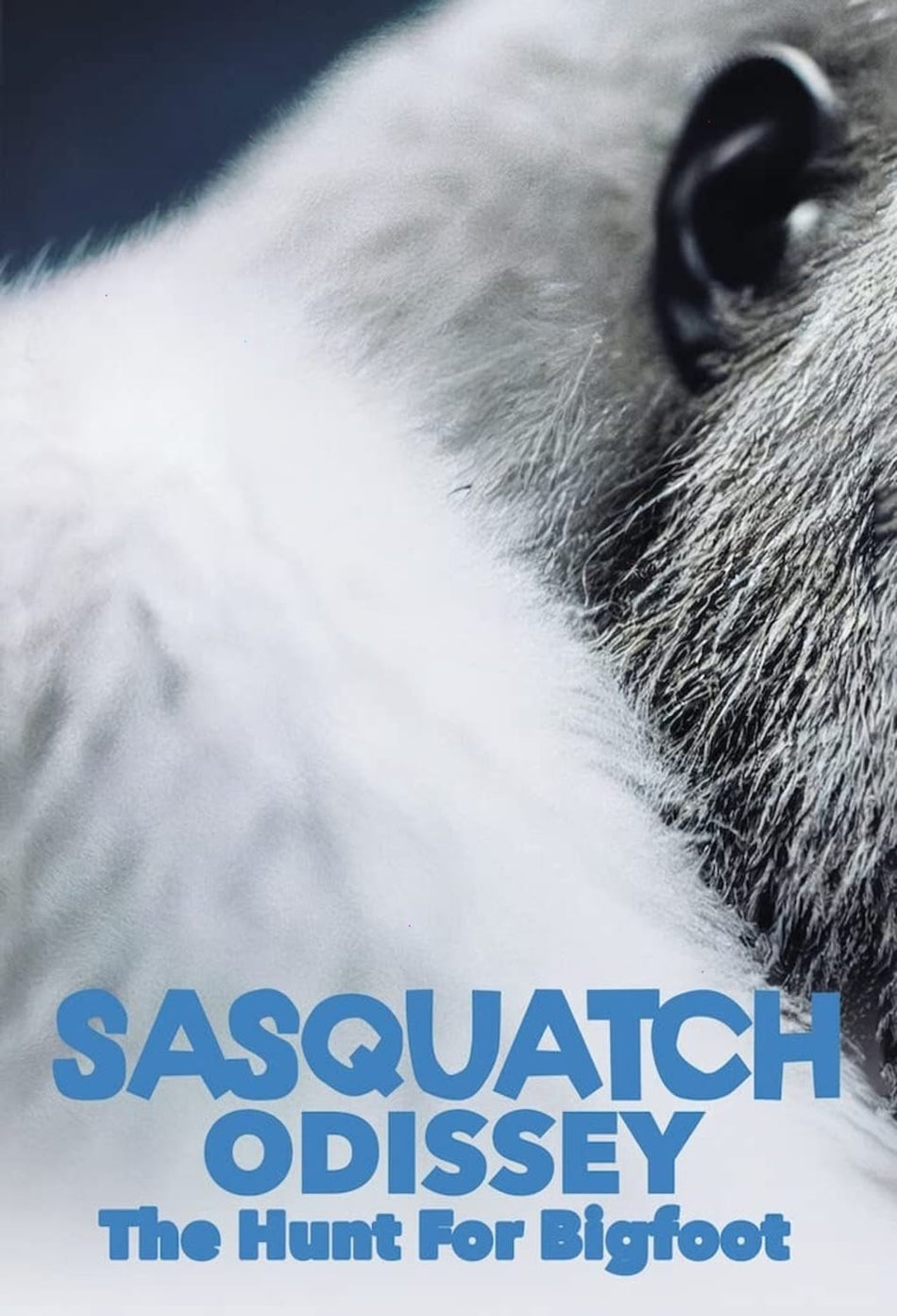 Sasquatch Odyssey: The Hunt for Bigfoot - [DVD]