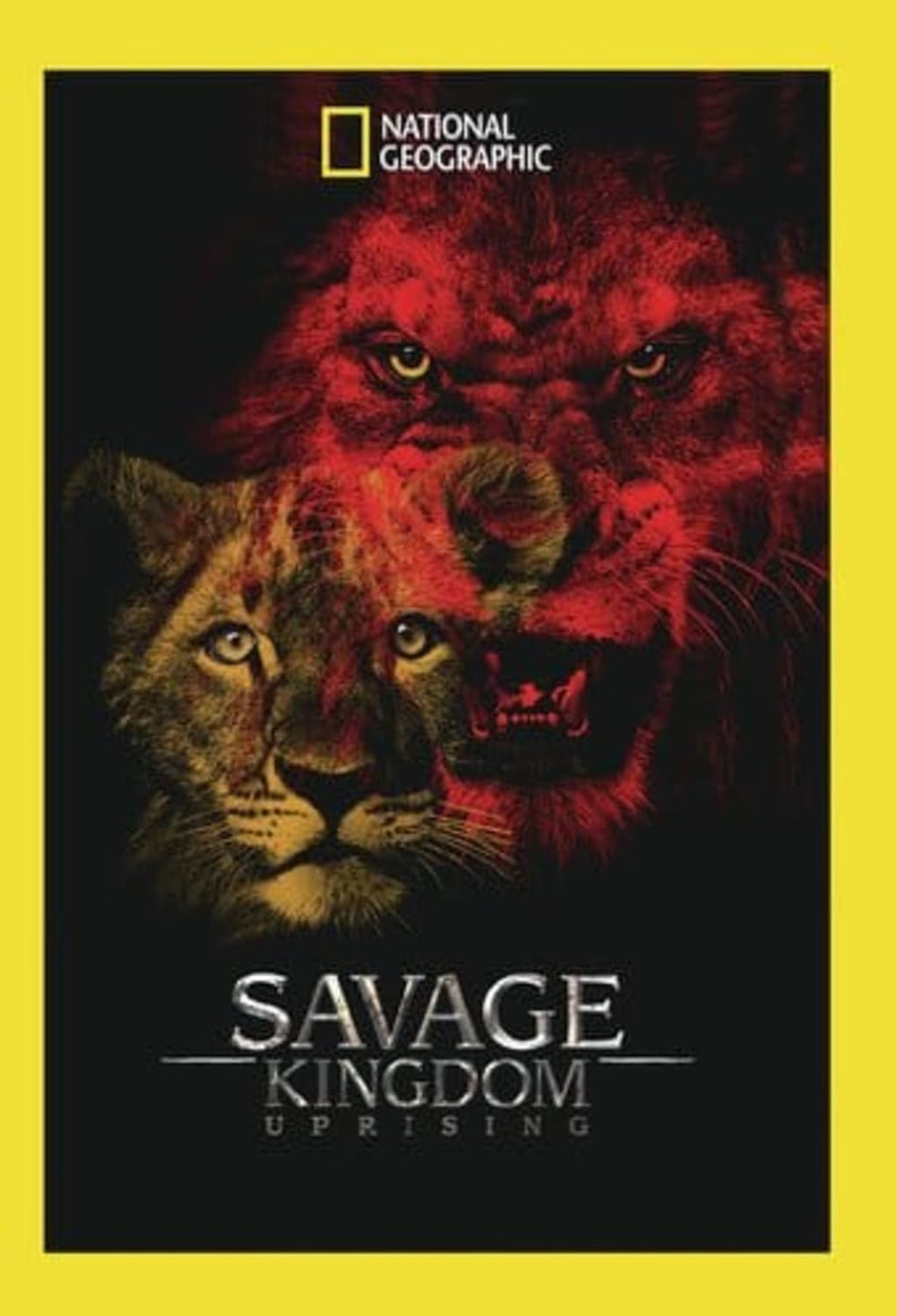 Savage Kingdom: Uprising - (Widescreen, Dolby, AC-3, NTSC Format) - [DVD]