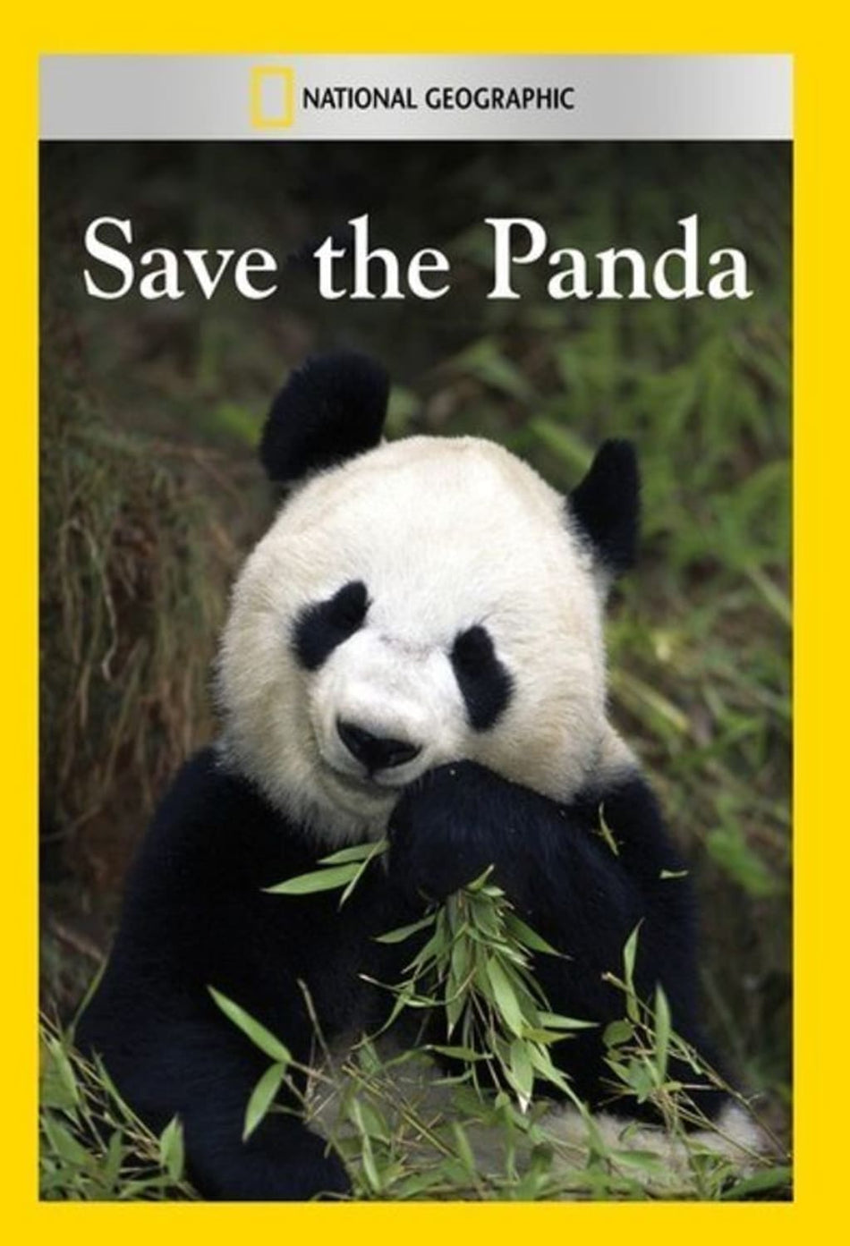 Save the Panda - (NTSC Format) - [DVD]