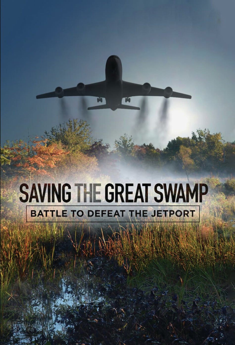 Saving The Great Swamp: Battle To Defeat The Jetport - [DVD]