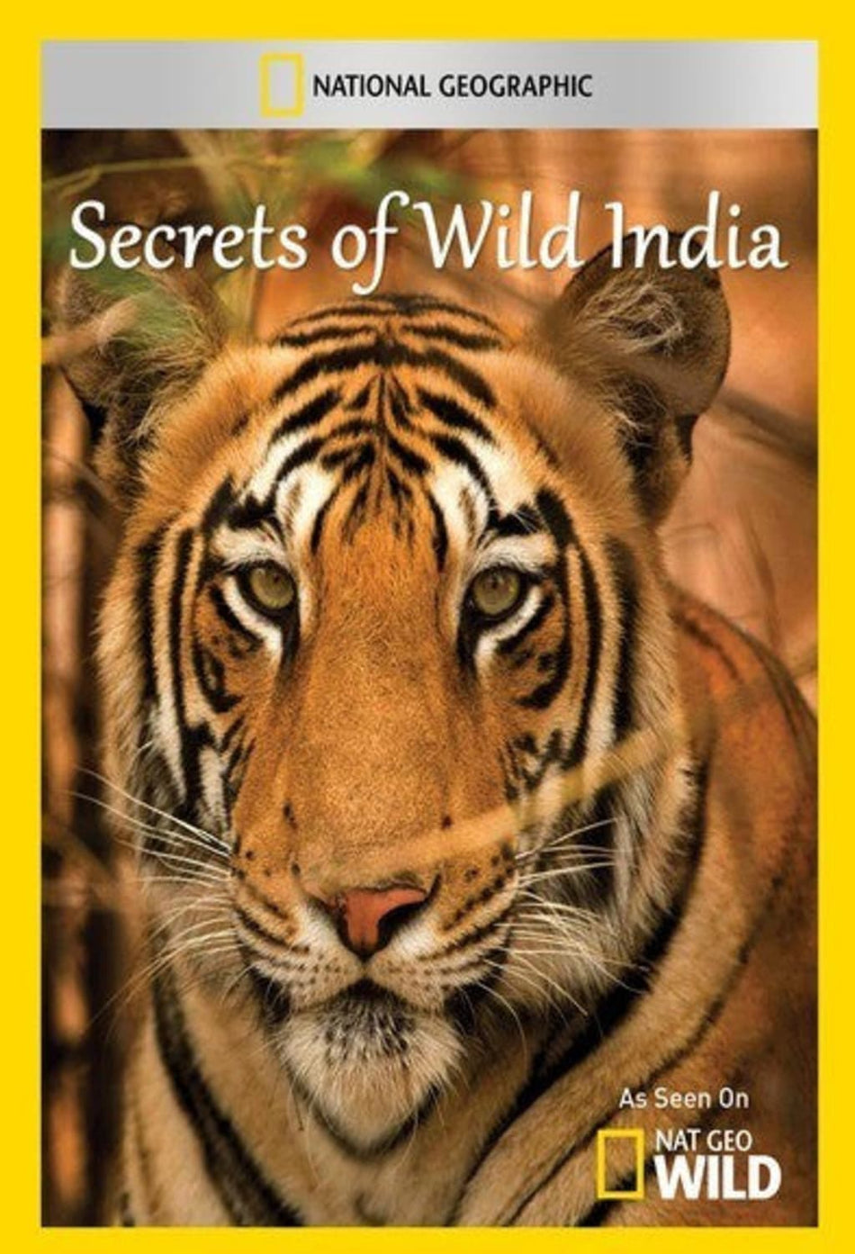 Secrets of Wild India - (NTSC Format) - [DVD]