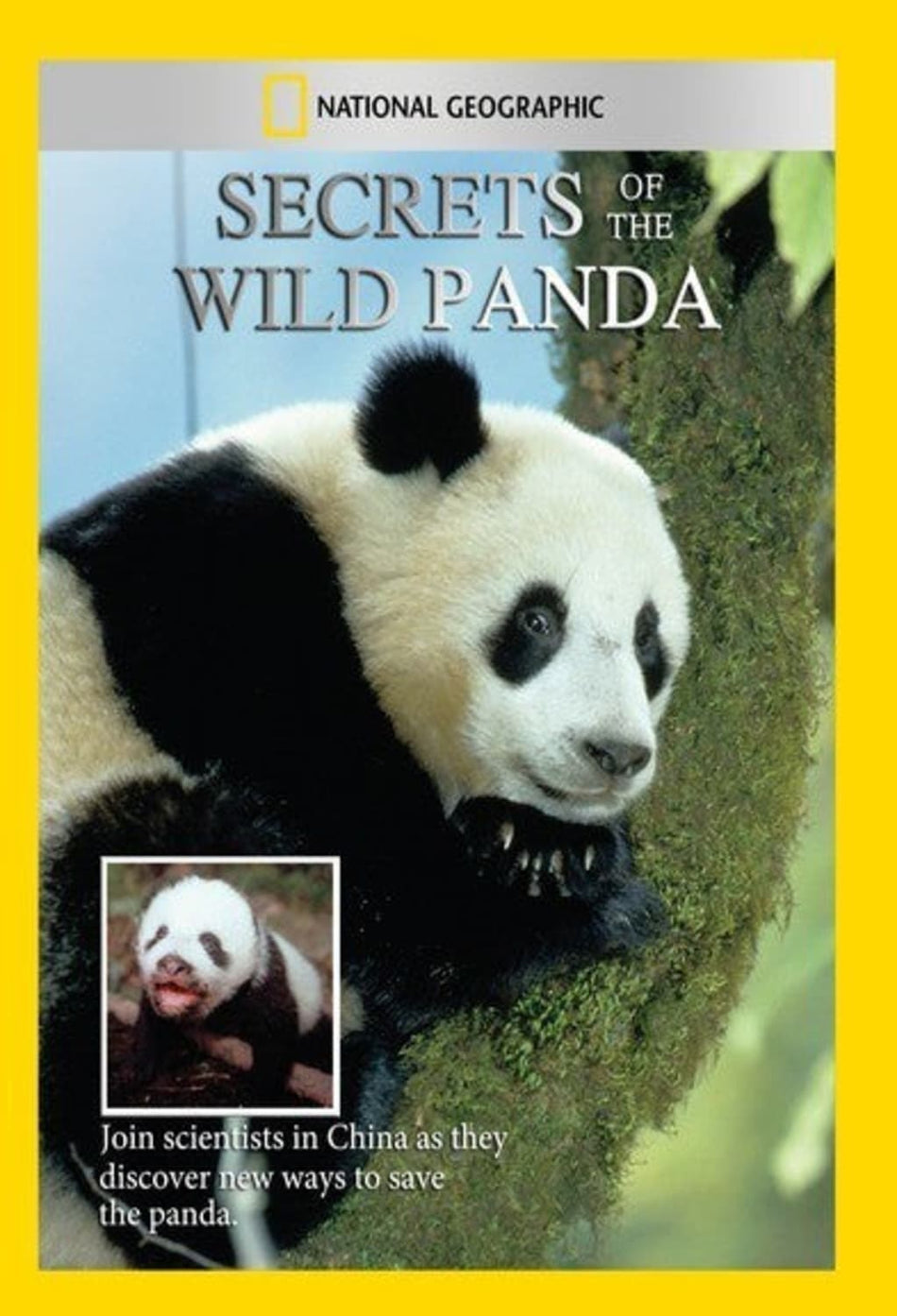 Secrets of the Wild Panda - (NTSC Format) - [DVD]