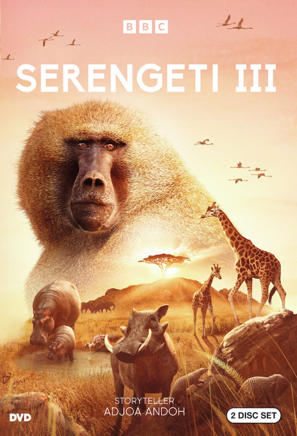 Serengeti Year 3 - [DVD]