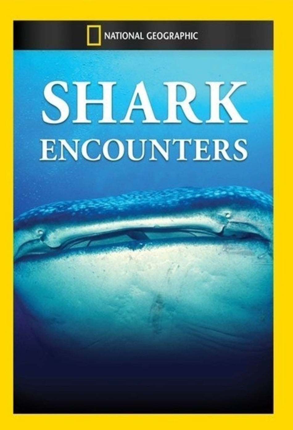 Shark Encounters - (NTSC Format) - [DVD]