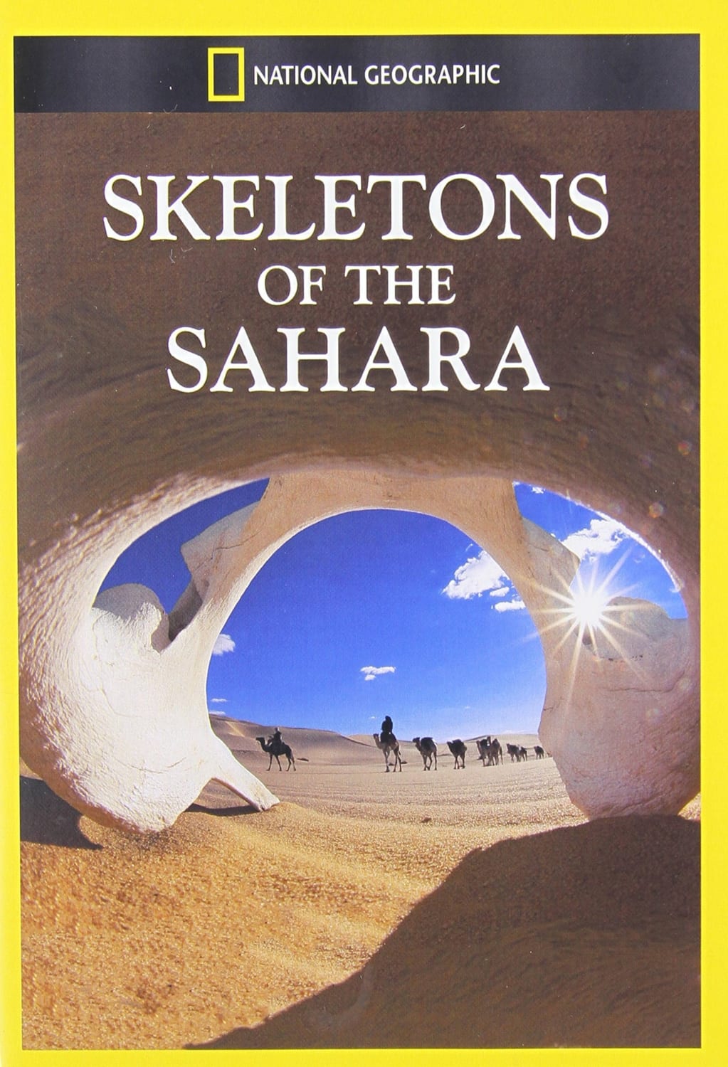 Skeletons of the Sahara - (NTSC Format) - [DVD]