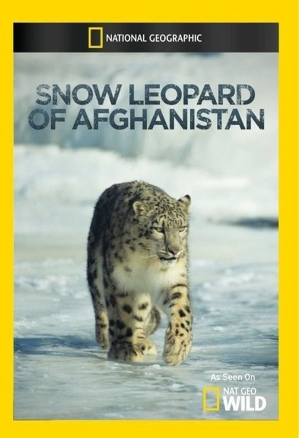Snow Leopard of Afghanistan - [DVD]