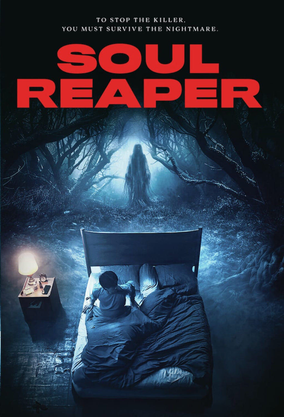 Soul Reaper - (Dolby, AC-3) - [DVD]