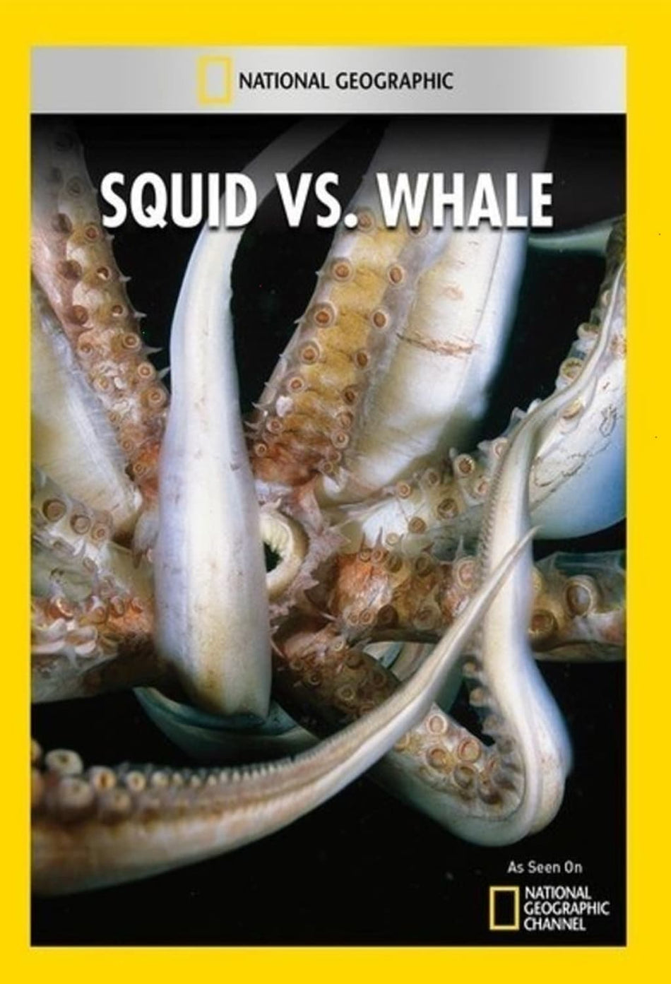 Squid Vs Whale - (NTSC Format) - [DVD]