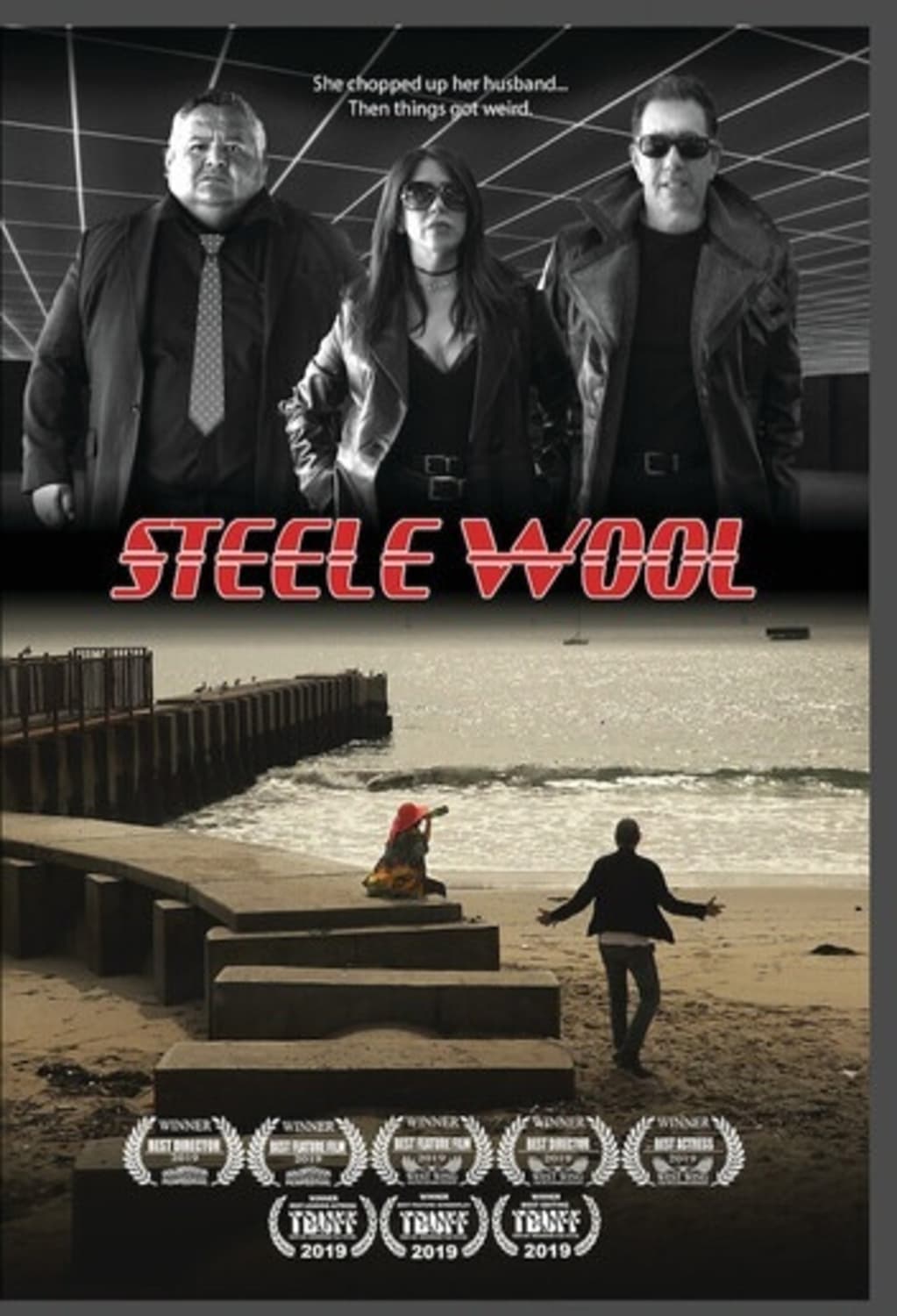 Steele Wool - [DVD]