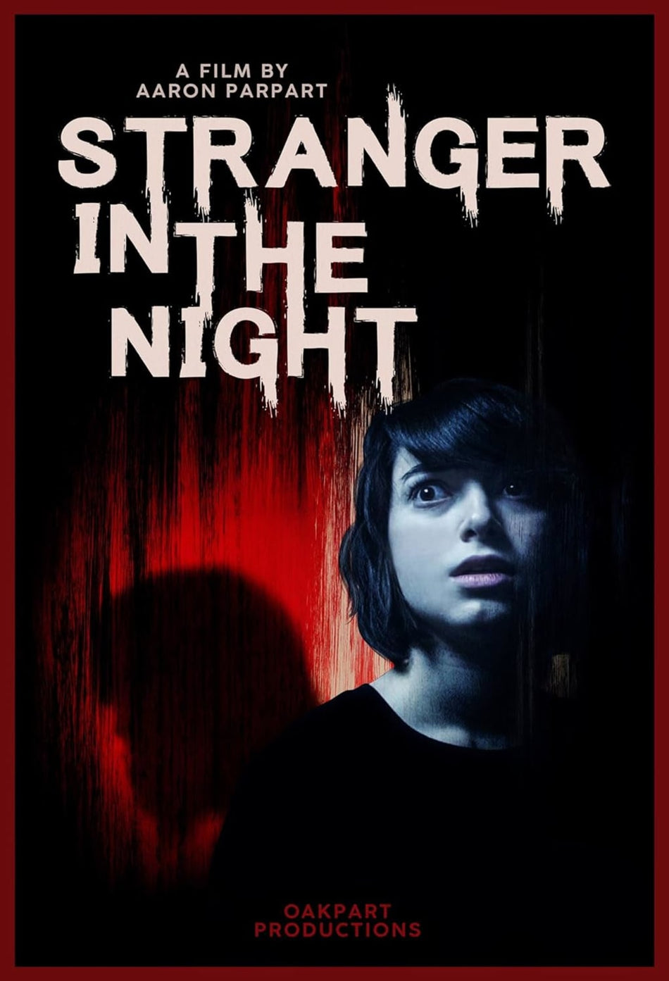 Stranger In The Night - [DVD]