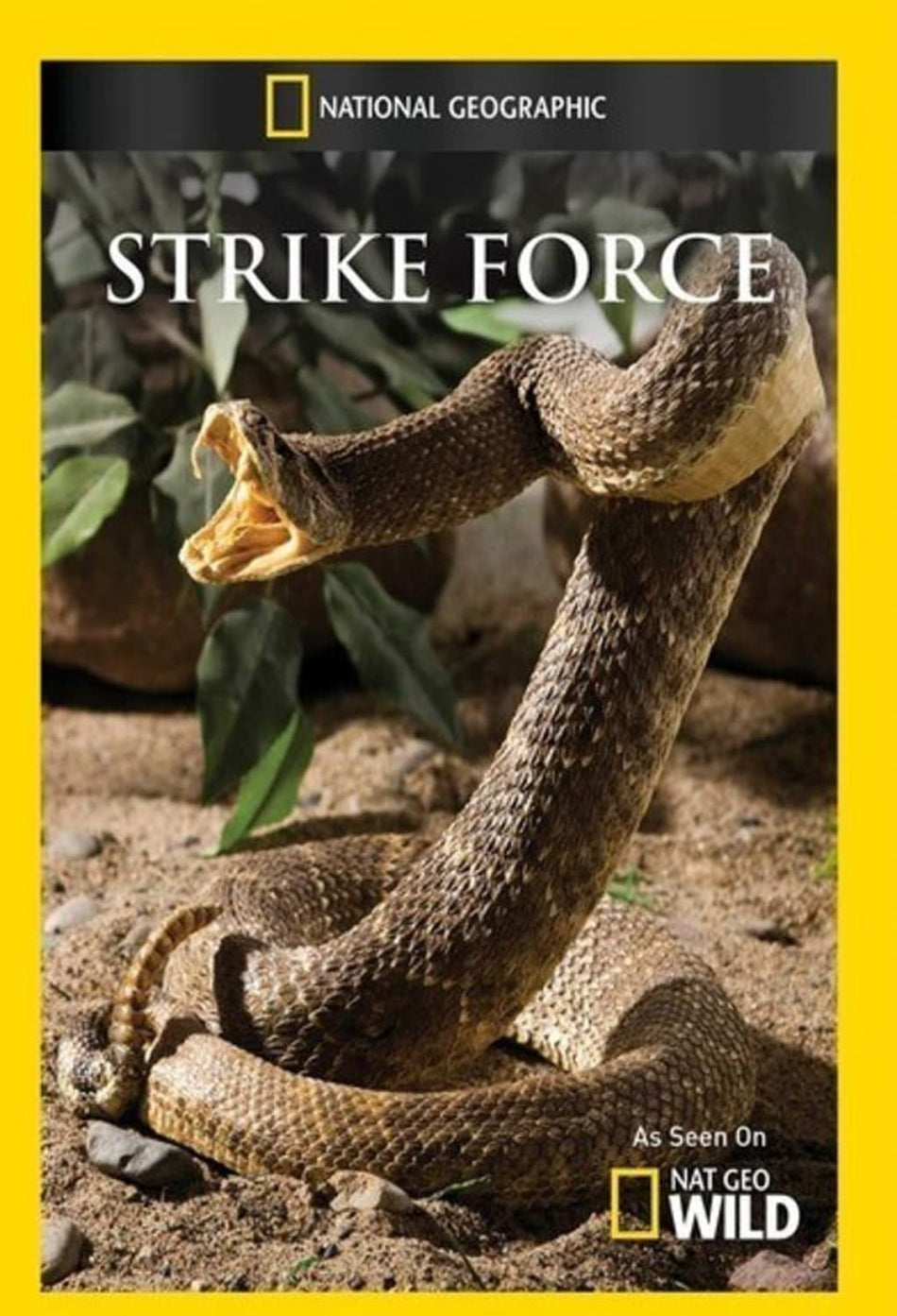 Strike Force - [DVD]