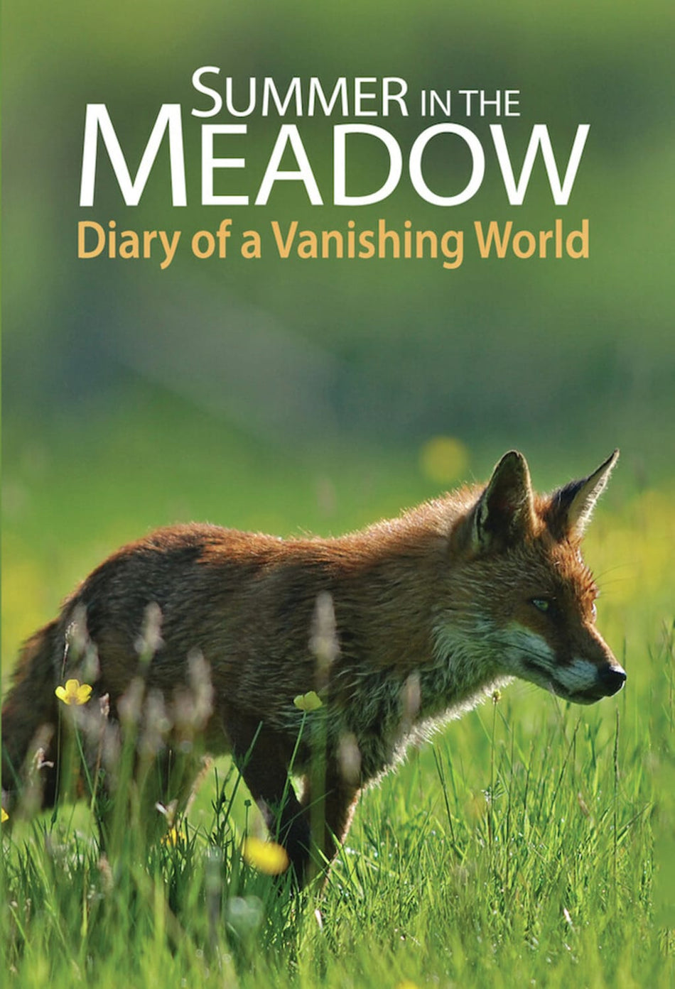 Summer In The Meadow: Diary Of A Vanishing World - [DVD]
