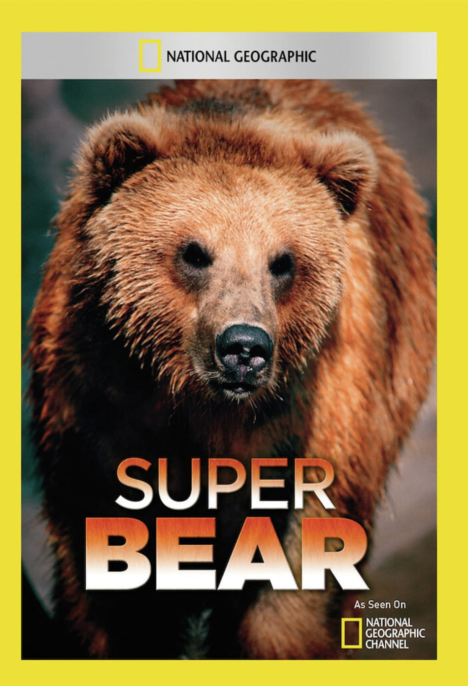 Super Bear - (NTSC Format) - [DVD]