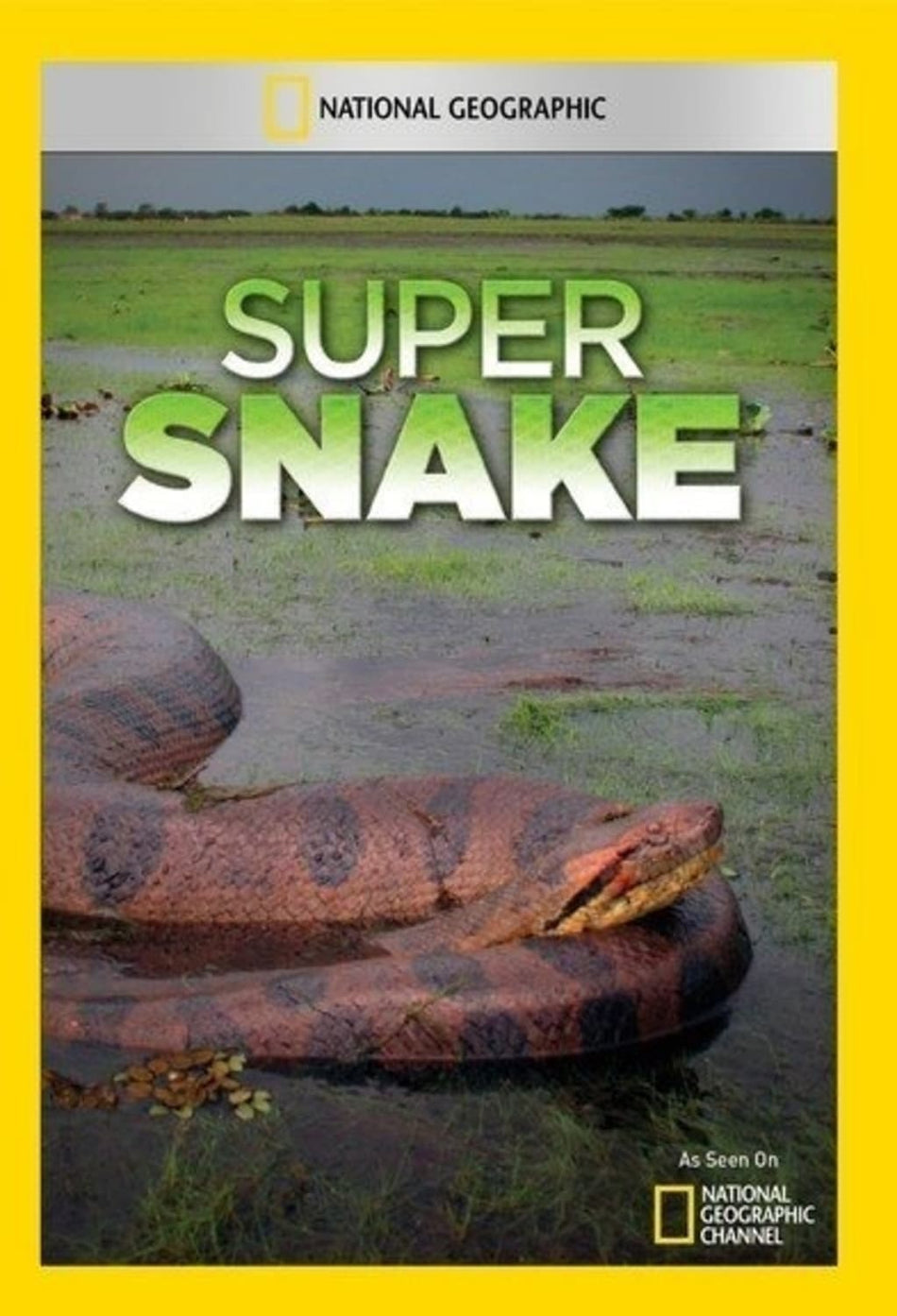 Super Snake - (NTSC Format) - [DVD]