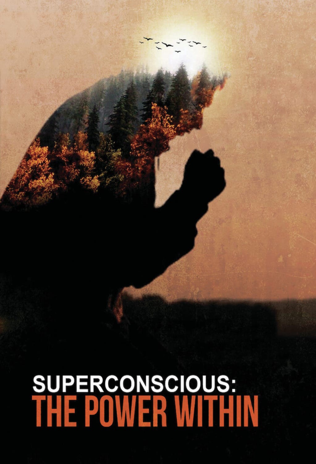 Superconscious: The Power Within - [DVD]