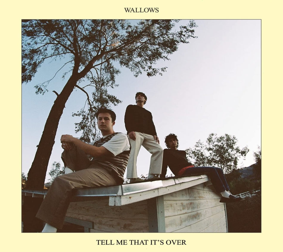 Wallows - Tell Me That It's Over - [CD]