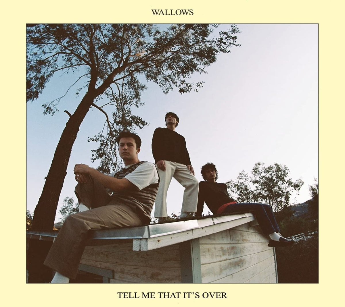 Wallows - Tell Me That It's Over - [CD]